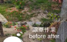 空地の管理（草刈り）空家の管理（草刈り・